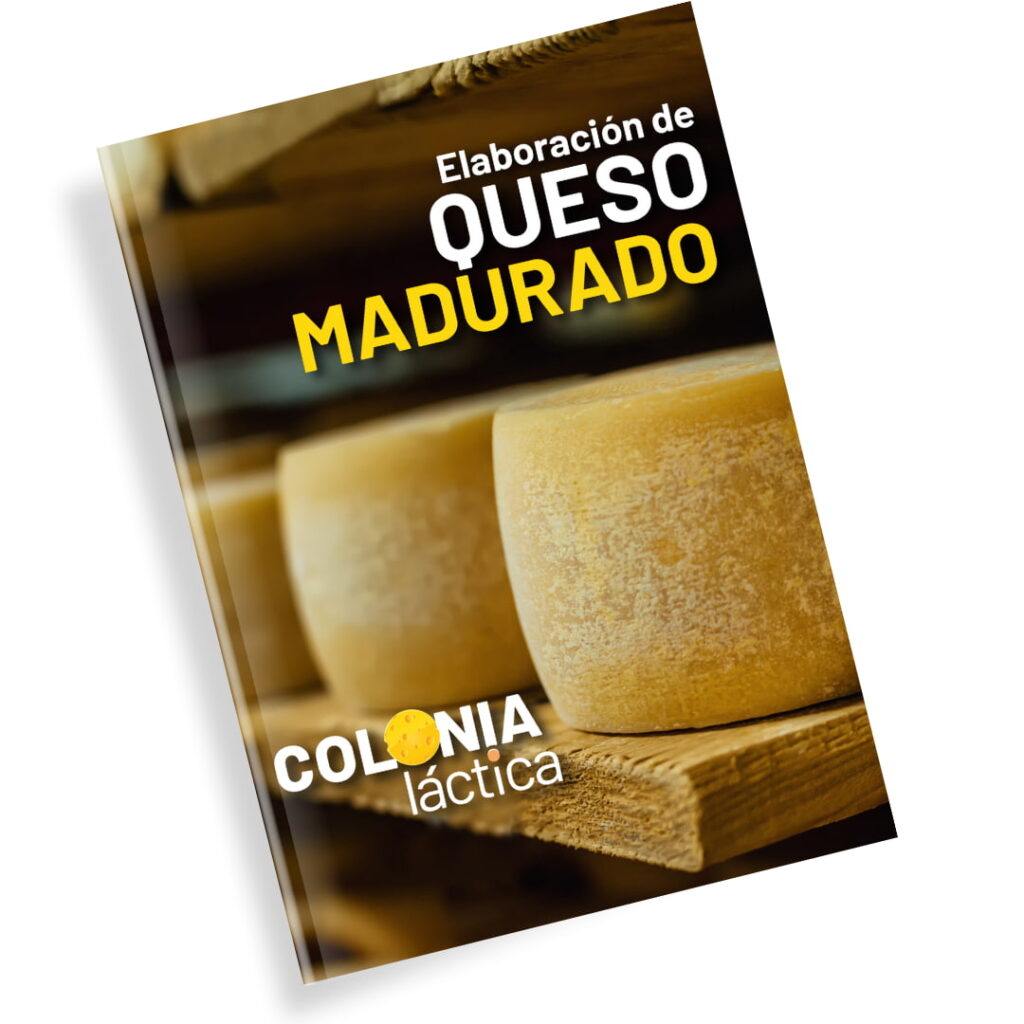 queso MADURADO Ernesto Toalombo Colonia Láctica